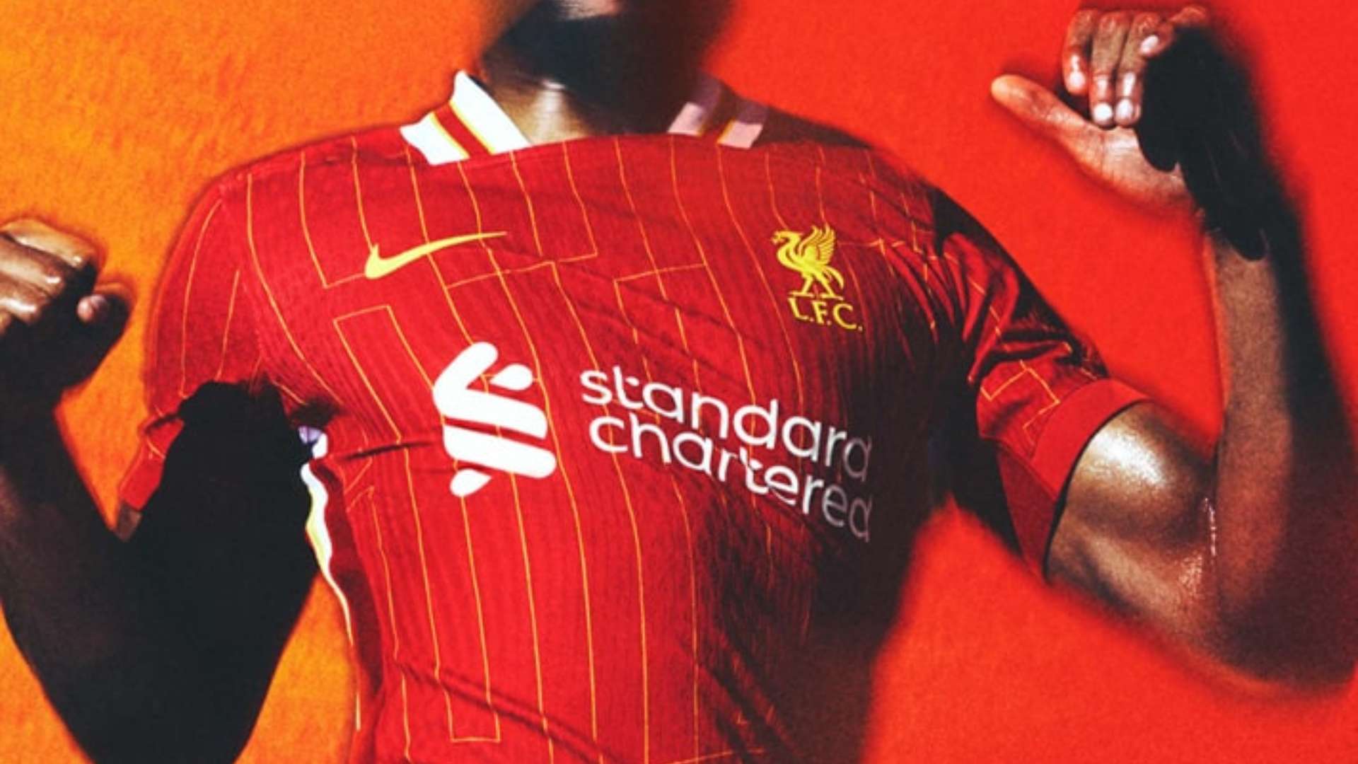 广泛的层面 广泛的层面