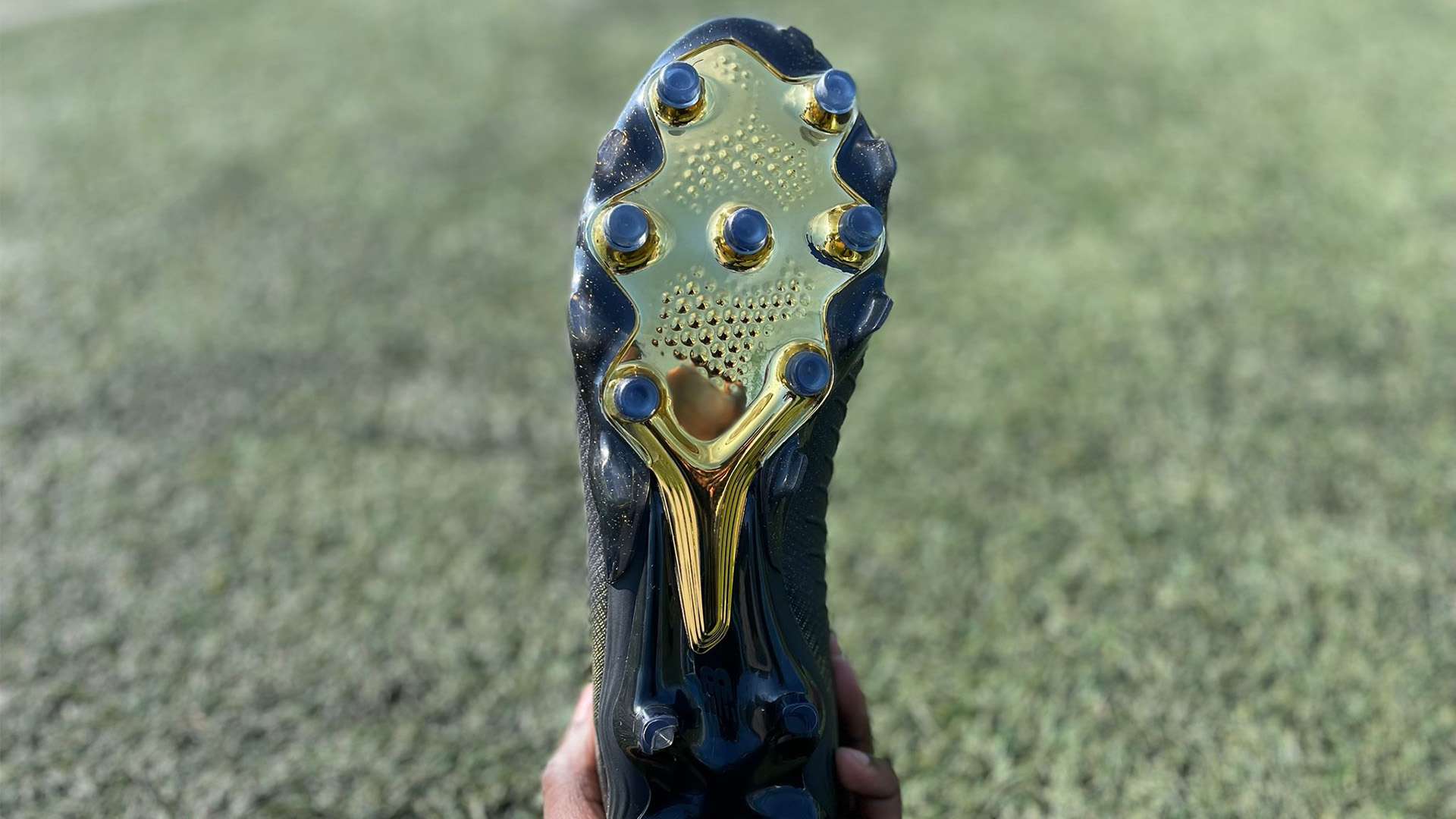 发展奠定了 发展奠定了