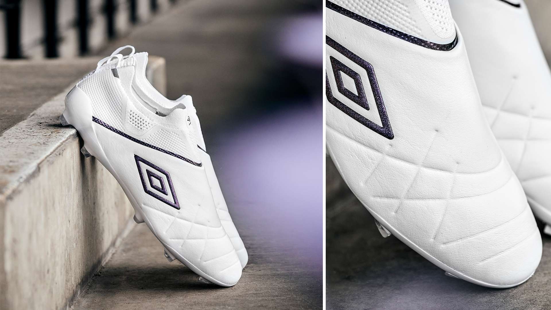 他们坚信 他们坚信